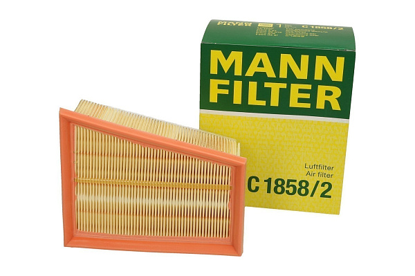 Воздушный фильтр MANN C1858/2